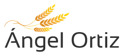 logo-angel-ortiz-250-x